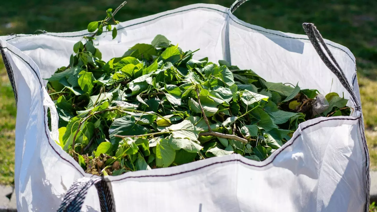 Large white waste bag filled with green garden waste ready for clearance in Hastings